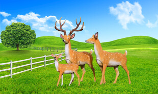 草原上的三只鹿