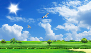 蓝天白云下的清新田园风光