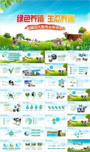 生态牧场畜牧业养殖牛群PPT