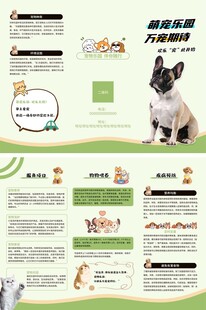 萌趣法斗开启欢乐养宠生活