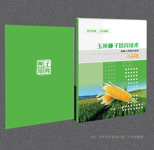 玉米封面
