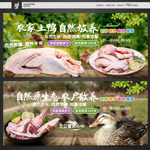 鸭肉