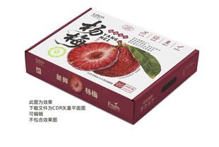 杨梅包装礼盒