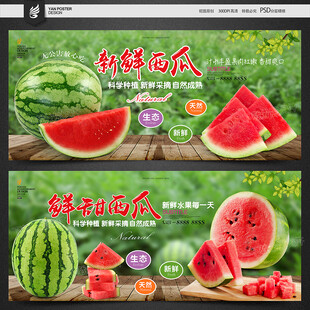 西瓜海报