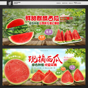 西瓜海报