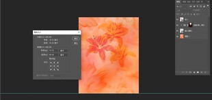 数字绘画创作界面展示