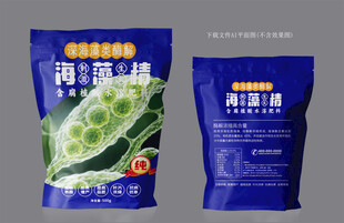 海藻精设计