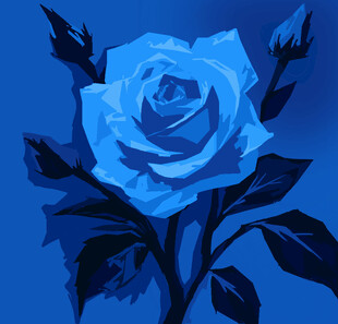 蓝色玫瑰插画