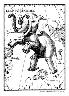 赫维留遗作星图武仙座的大象形象