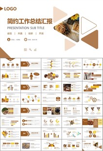 中医中药行业总结计划PPT