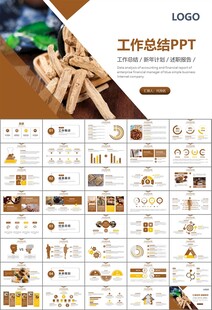 中医中药行业总结计划PPT