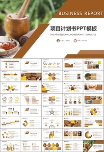 中医中药行业总结计划PPT