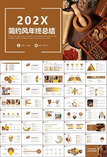 中医中药行业总结计划PPT