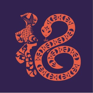 蛇形文字艺术图案