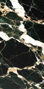奢华黑金大理石纹理