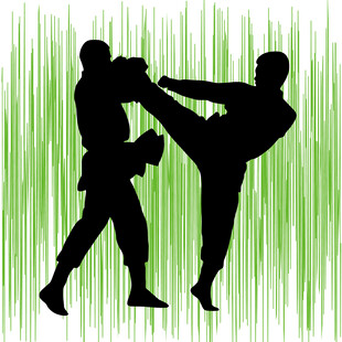 两人武术对决剪影