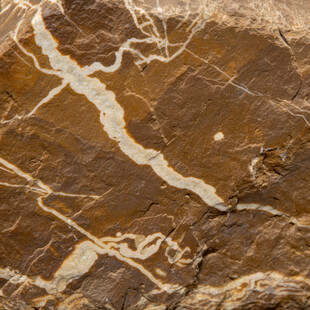 棕色纹理大理石表面