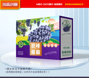 葡萄包装 巨峰礼盒