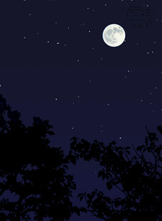 月夜星空下的树木剪影