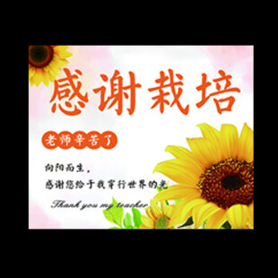 感恩教师主题宣传海报