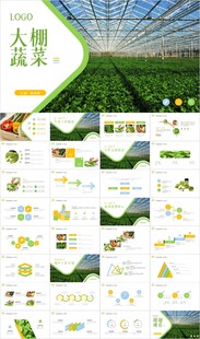大棚蔬菜种植基地有机蔬菜ppt