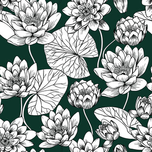 黑白莲花图案背景纹理