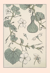 中式植物花卉图案插画