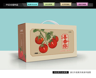 西红柿礼盒 圣女果包装