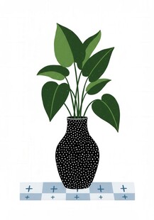 黑色花瓶中的绿植盆栽