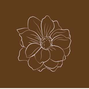 手绘绿底白线条玫瑰花