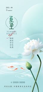 清新荷花插画意境图