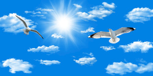 蓝天白云天花软膜