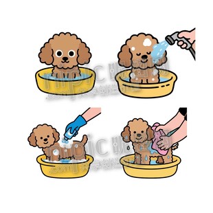 卡通小狗洗澡步骤