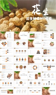 五谷杂粮花生介绍宣传PPT