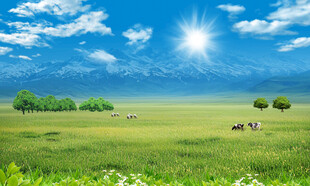 蓝天白云大草原