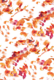 水彩风格花卉图案背景