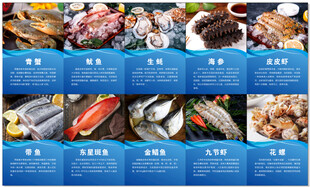 多样海鲜美食展示