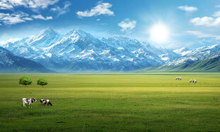 蓝天白云大草原