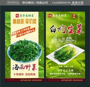 白灼生菜 海南野菜