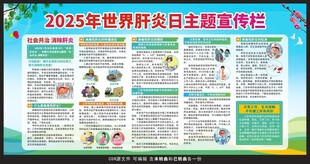 2025世界肝炎日宣传栏