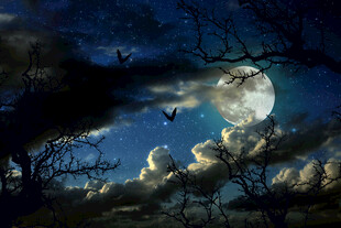 月夜下的奇幻天空景象