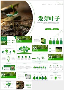 植物发芽植物生长敬畏生命PPT