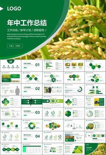 水稻农田农业种植大米PPT模板