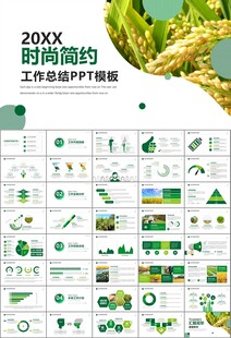 水稻农田农业种植大米PPT模板