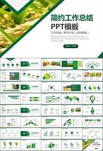 水稻农田农业种植大米PPT模板