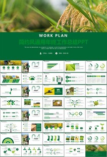 水稻农田农业种植大米PPT模板