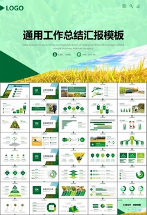 水稻农田农业种植大米PPT模板