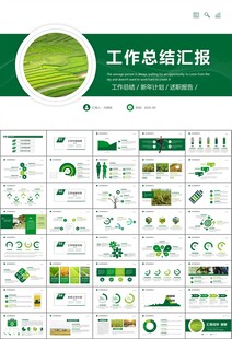 水稻农田农业种植大米PPT模板
