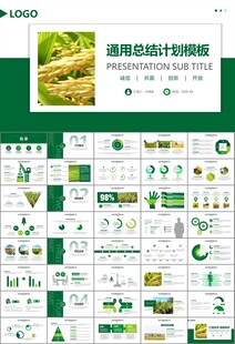 水稻农田农业种植大米PPT模板