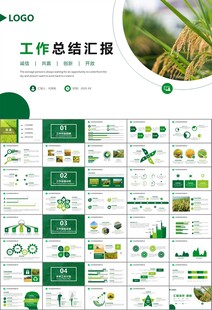 水稻农田农业种植大米PPT模板